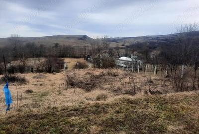 Teren de 1800 mp, în Central