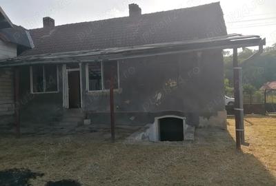 Casa cu teren de vanzare - sat PE?TEANA - 4