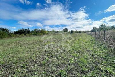 Teren intravilan 5995 mp de vanzare in Hidiselu de Sus - 4