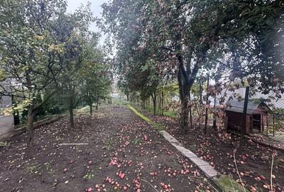 Casă individuală cu 4 camere cu Teren 791 Mp în Cetate - 12