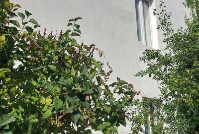 Casă cu 5 camere cu Teren 399 Mp în Sighetu Marmației - 8