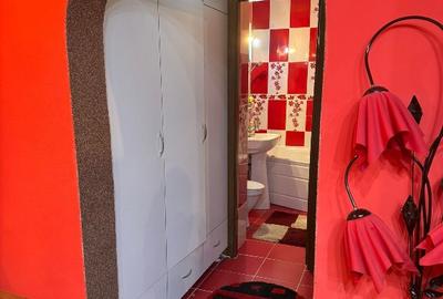 Apartament 3 camere complet mobilat ?i utilat George Enescu - 12