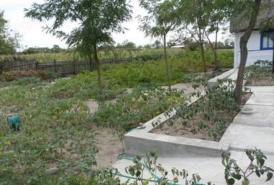 Delta Dunarii, Romania, localitatea LETEA, proprietate de VIS, - 1