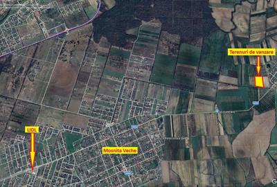 Teren Construcții intravilan de 540 mp, în Bucovăț (Remetea Mare) - 3