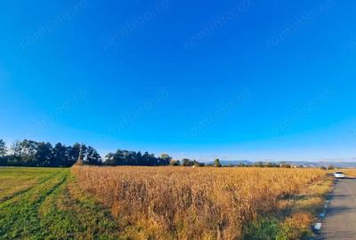 Teren de 7526 mp, în Băcia - 1