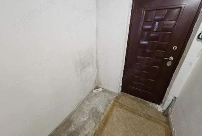 Drumul Taberei Favorit - 6