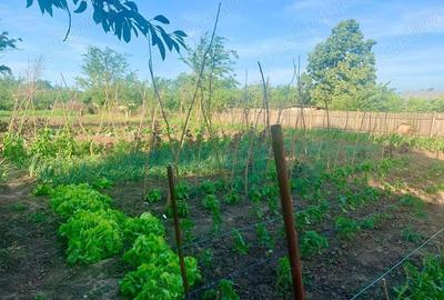 Casă cu 5 camere în Băile - 1