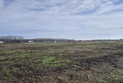 Teren de 638 mp, în Crevedia - 6