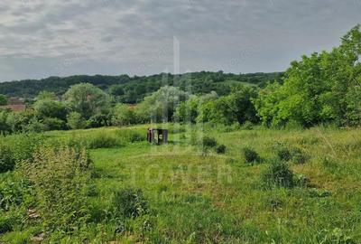 De vanzare Teren versatil 3.919 mp in localitatea Armeni. Sibiu - 3