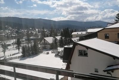 Busteni, ideal azil, hotel - 2