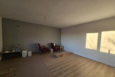 Casă cu 2 camere cu Teren 1628 Mp în Băița - 16