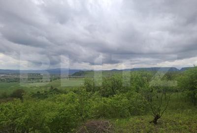 Teren de 2691 mp, în Turda - 1