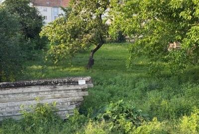 Teren Construcții intravilan de 850 mp, în Odoreu - 3