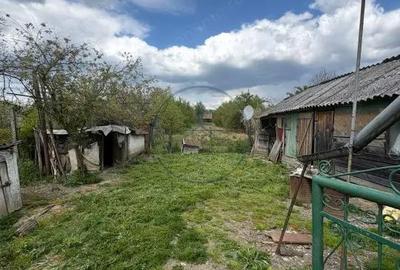 Casă cu Teren 1329 Mp în Reteag - 6