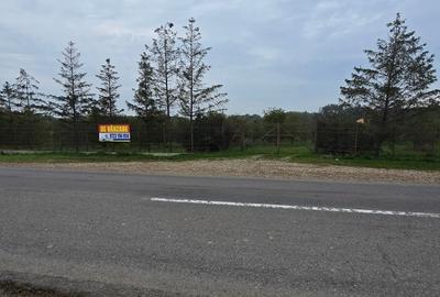 LIVADA  DE VANZARE FOCSANI-DUMBRAVITA  1,8  HA - 33