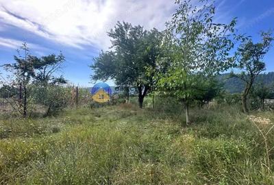 Teren de Vanzare 1172 mp Dumbrava Ro?ie, Neam? - 6