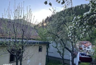 Teren de 707 mp, în Schei - 8