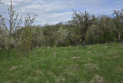 Teren de 3347 mp, în Florești - 4