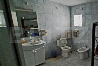 Oportunitate! Teren intravilan 20000 mp si spatiu industrial - 34