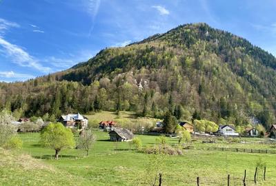 Teren panoramic insorit, utilitati, panta mica si padure, turism sau vacanta - 13