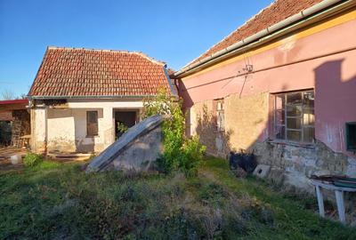 Casă cu 2 camere în Central - 2