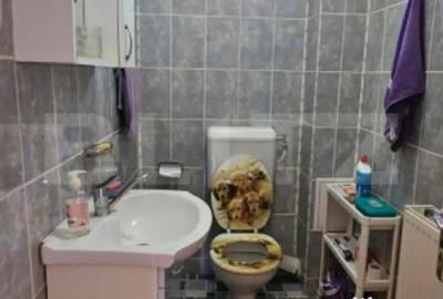 Casă cu 6 camere cu Teren 163 Mp în Dorobanți