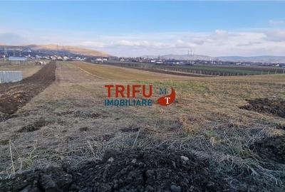 Teren de 2125 mp, în Bărăbanț - 7
