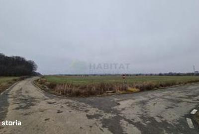 Spațiu comercial, în Odăile - 6