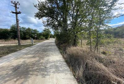 Spațiu comercial, în Eșelnița - 2