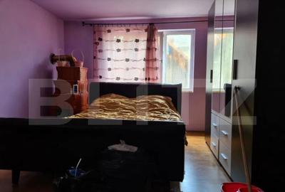 Case individuale, 300mp util,3000mp teren, zona Serbauti - 2