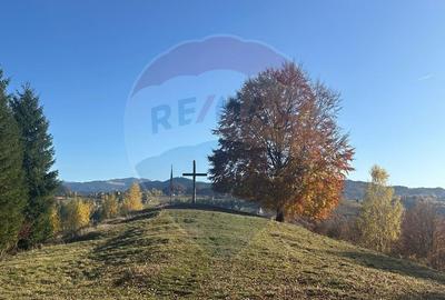 Oportunitate de investitie ! Teren de vis in Pestera - ... - 8