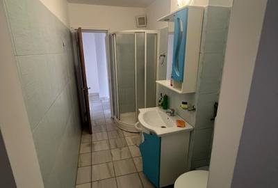Apartament cu 2 camere circular în Dristor - 7