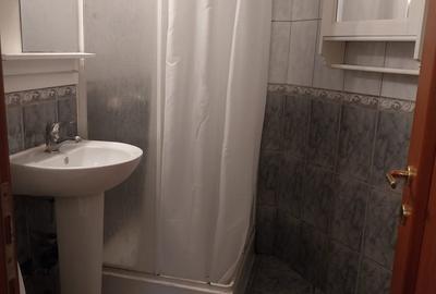 Apartament cu 2 camere decomandat, mobilat în Ultracentral - 9