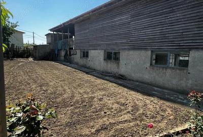 Casa si spatiu comercial de vanzare in Baneasa - 4