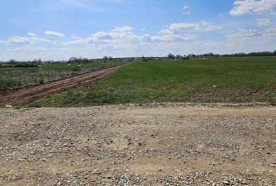 Spațiu comercial, în Piscu - 1