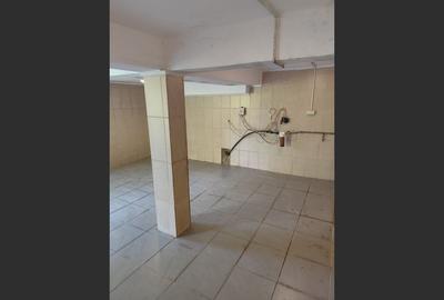 Vila superba 7 camere, Provita de Jos, 22.000 mp teren - 7