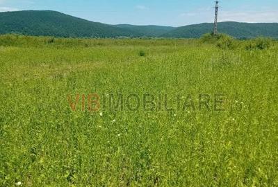 Spațiu comercial, în Conop - 1