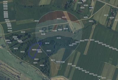 Comision 0% | Teren intravilan cu izvor | 2,730mp | Zarnesti | - 4