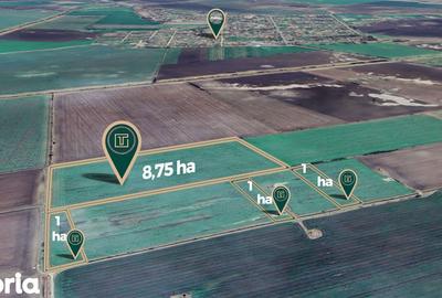 Teren de 117500 mp, în Central - 4