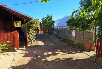 Casă cu 3 camere cu Teren 3360 Mp în Produlești - 9