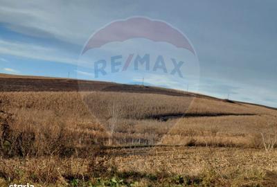 Teren de 800 mp, în Traian - 5