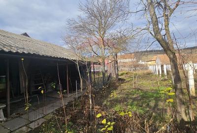 Casă cu 4 camere cu Canalizare în Sud - 13