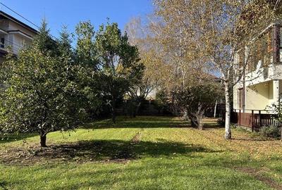 Vila la marginea padurii | curte superba | Iancu Nicolae - 4