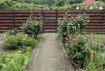 Casă cu 2 camere decomandat în Găești - 8