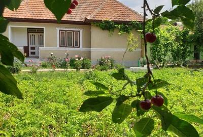 Casă individuală cu 4 camere cu Teren 1511 Mp în Adâncata - 1