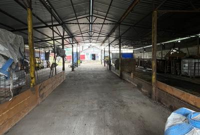 Teren Construcții intravilan de 6500 mp, în Frata - 2