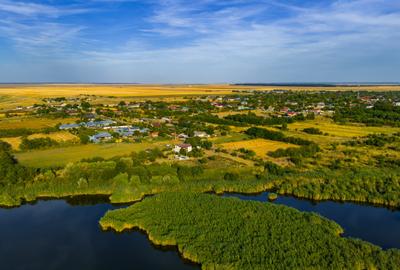 DOMENIU CU LAVANDA DE VANZARE - 4