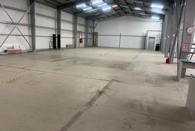 De Inchiriat! Hala depozit si birouri - 6