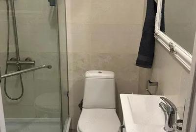 Garsoniera de inchiriat in zona Bartolomeu Sud - 5