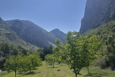 Teren de 1800 mp, în Livezile - 2